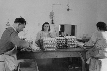 1953: מיון ביצים