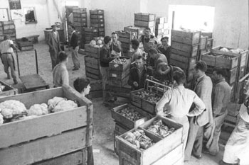 1953: מחסן פירות וירקות.