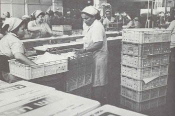 שנות ה-70: הרחבת פסי הייצור במחלבת תל יוסף.